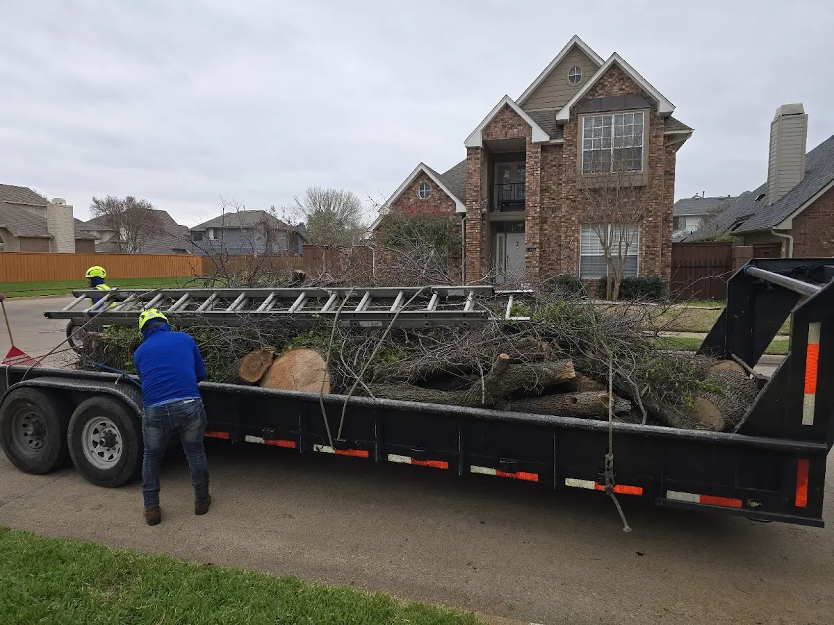 Expert Tree Removal with proper safety equipment in Riegelwood